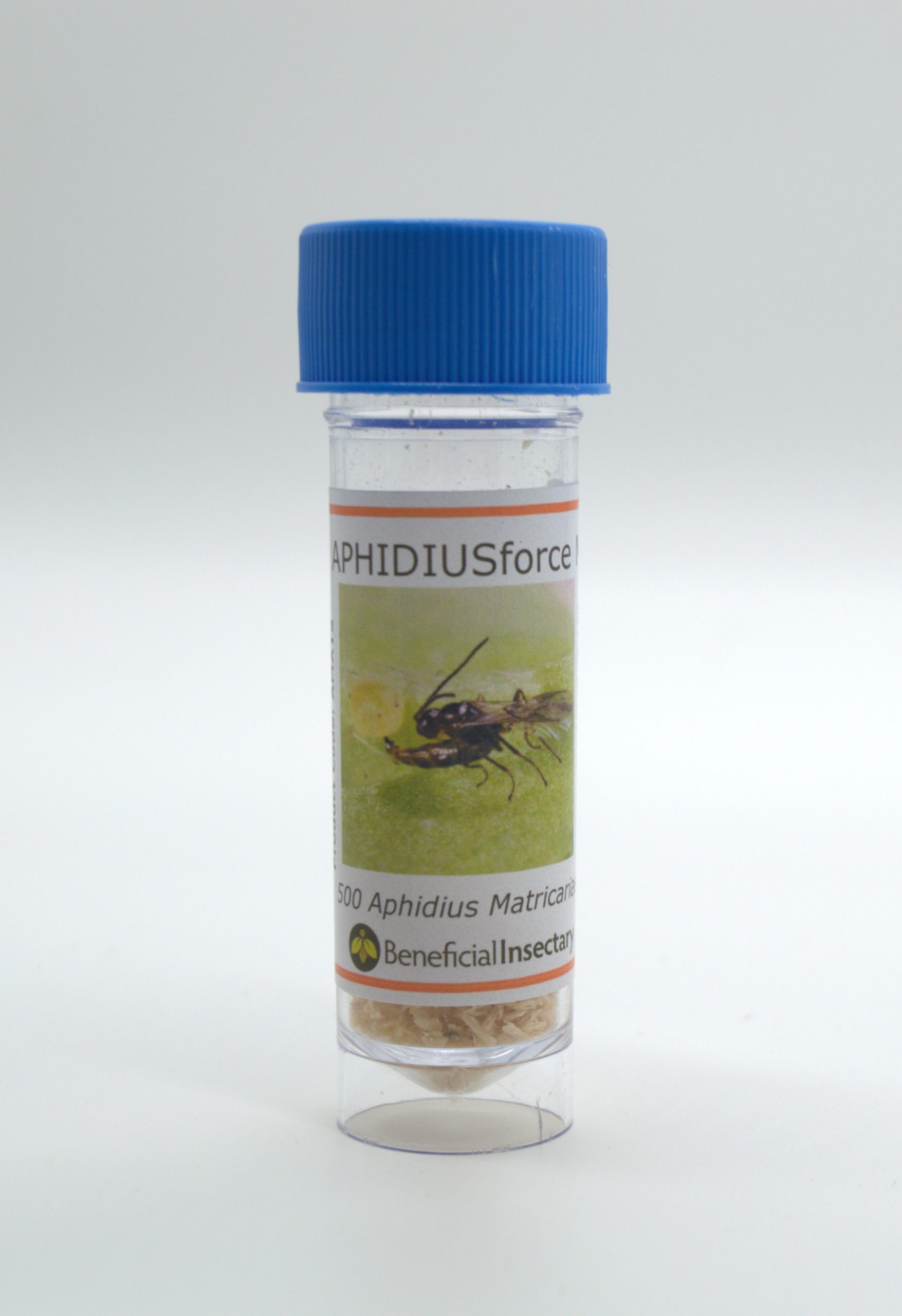 Aphidius matricariae small bottle